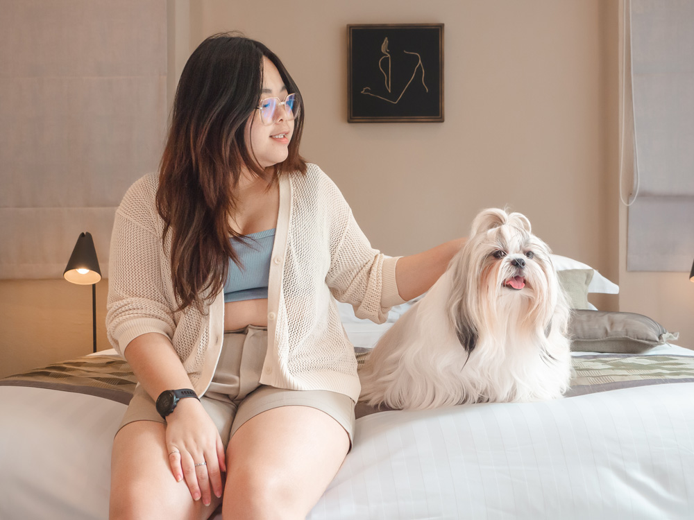 Shih Tzu with owner. The best dog breeds for apartments