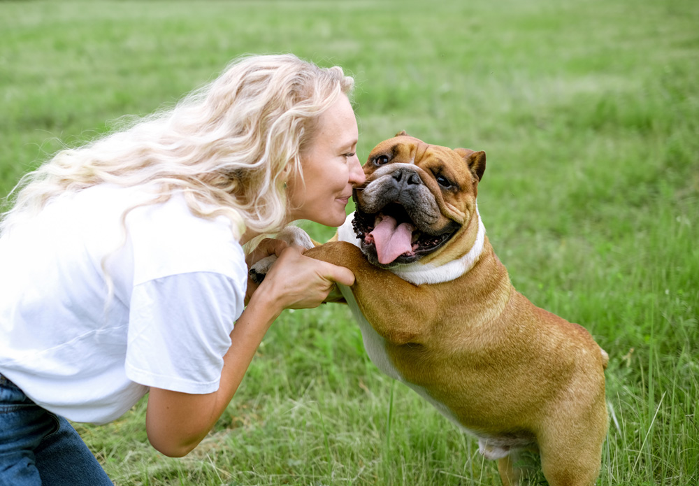 Woman playing with English Bulldog in park.