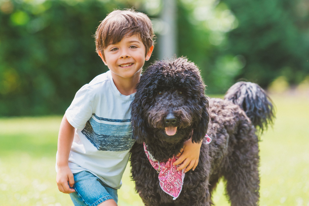 Young boy hugging black standard poodle