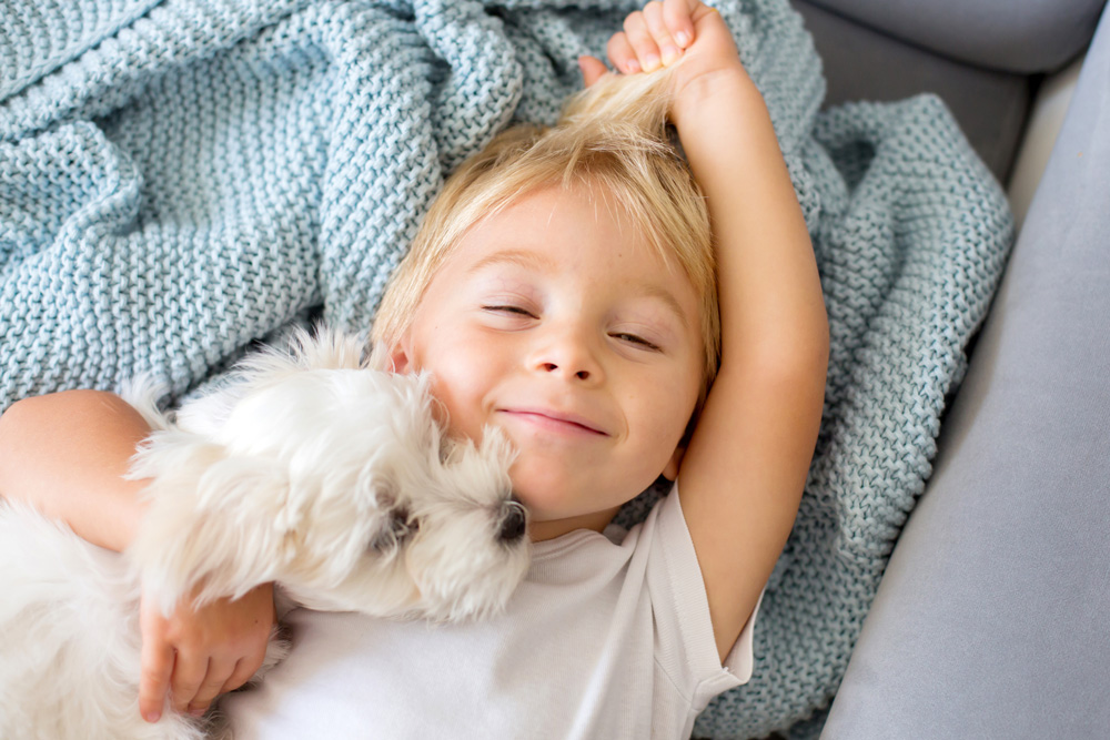 Young boy cuddling a Maltese dog. Hypoallergenic dog breeds.