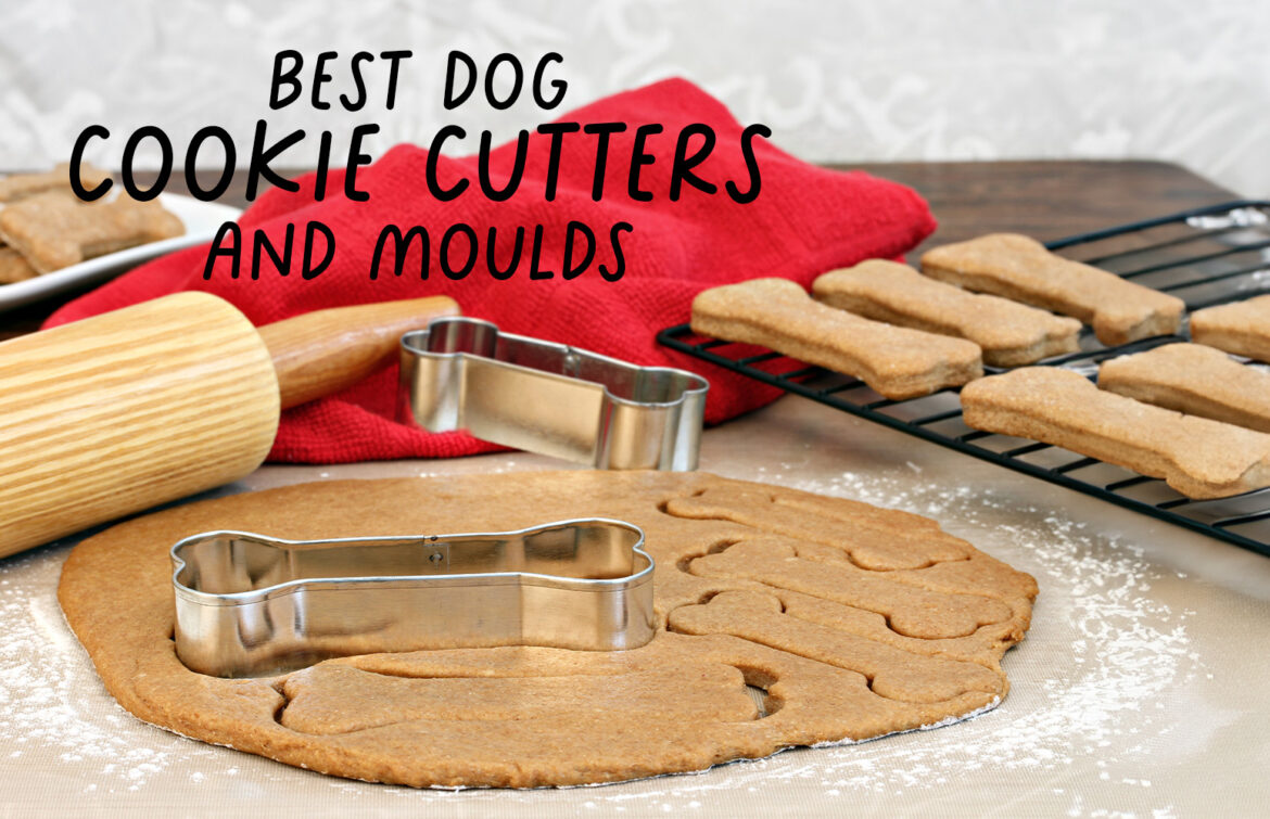 Dog bone cookie cutters